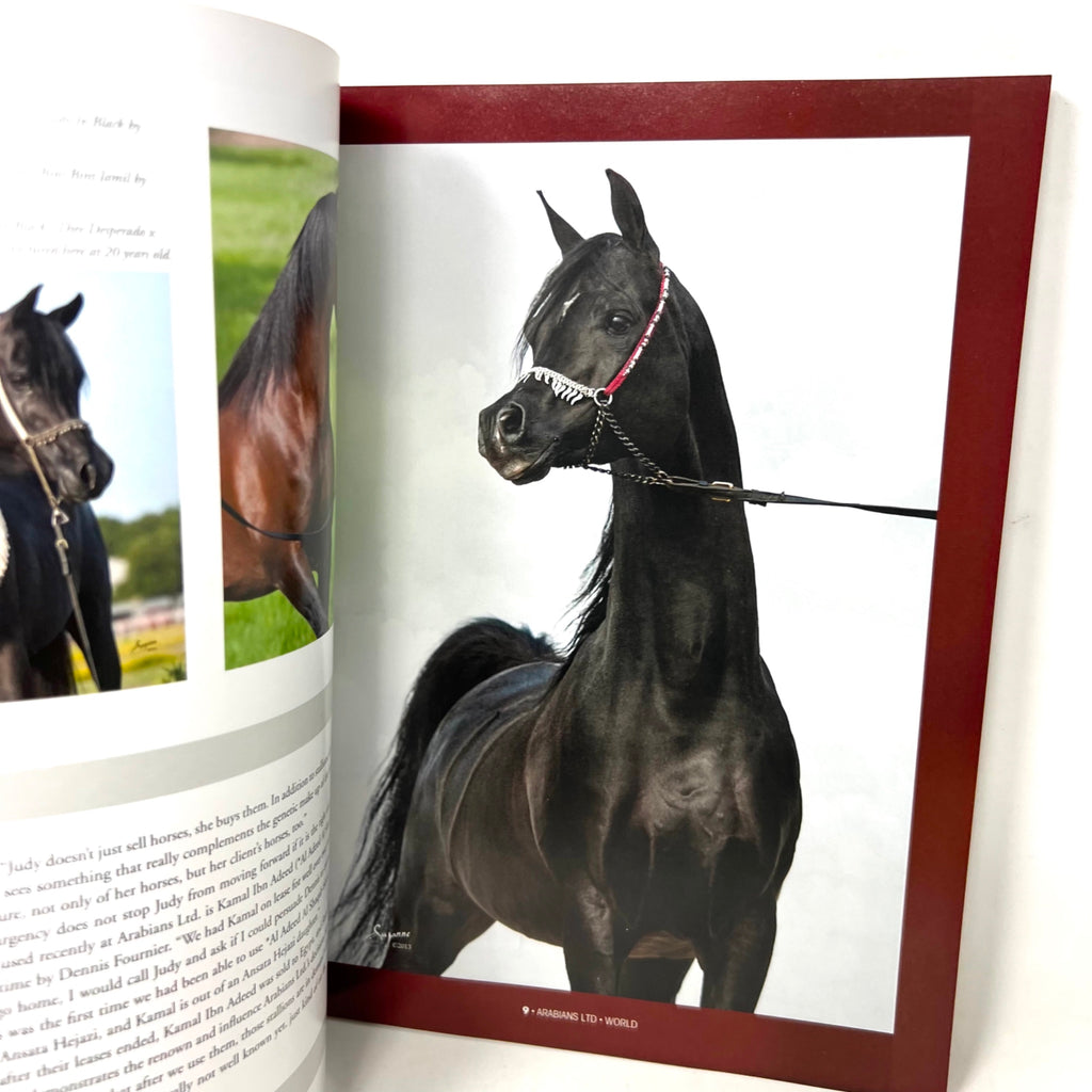 Arabian Horse World November 2017 Vol. 58 No.2 Horse Magazine