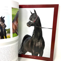 Arabian Horse World November 2017 Vol. 58 No.2 Horse Magazine