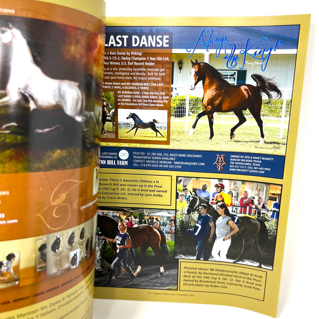 Arabian Finish Line November 2016 Arabian Horse Racings foremost Publication