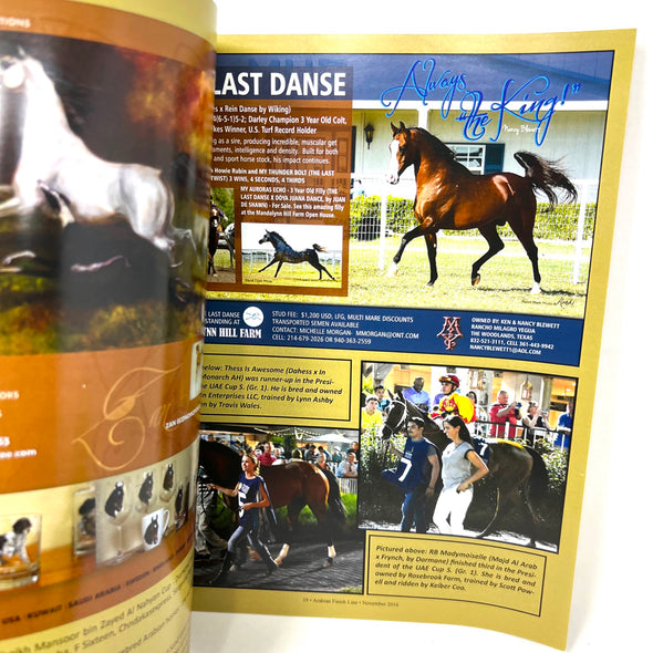 Arabian Finish Line November 2016 Arabian Horse Racings foremost Publication