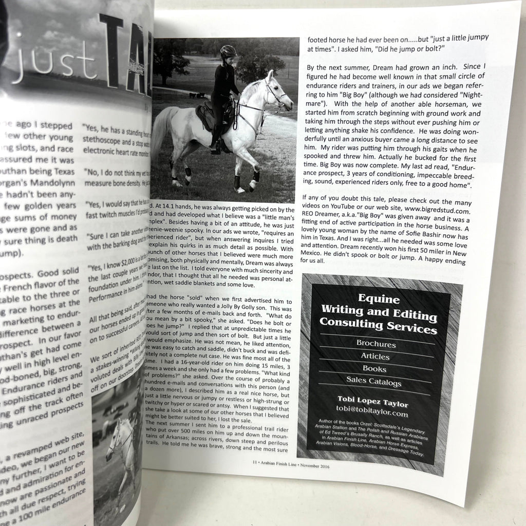 Arabian Finish Line November 2016 Arabian Horse Racings foremost Publication
