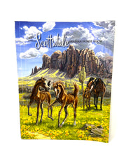 62nd Annual Scottsdale Arabian Horse Show Magazine 2017