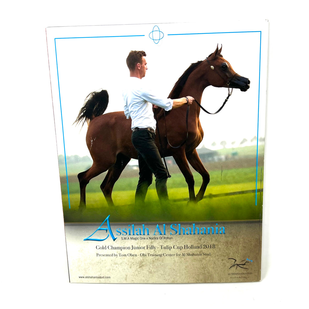Arabian Horse World May 2018  Vol. 58 No.8 Horse Magazine
