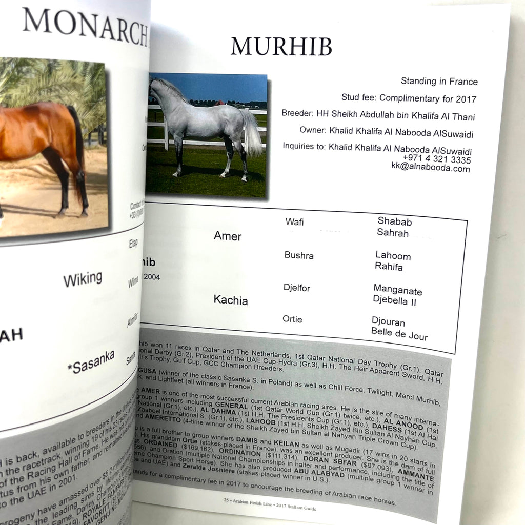 2017 Purebread Arabian Stallion Gide Arabian Finish Line