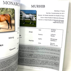 2017 Purebread Arabian Stallion Gide Arabian Finish Line