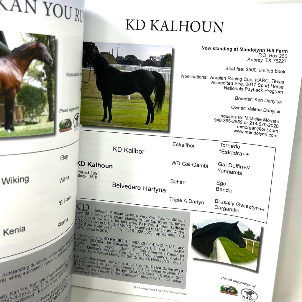 2017 Purebread Arabian Stallion Gide Arabian Finish Line