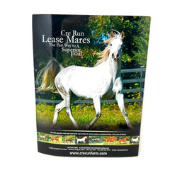 2017 Purebread Arabian Stallion Gide Arabian Finish Line