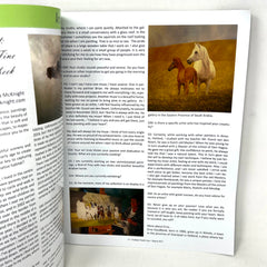 Arabian Finish Line March 2017 Arabian Horse Racing's Foremost Publication