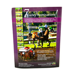 Arabian Finish Line March 2017 Arabian Horse Racing's Foremost Publication