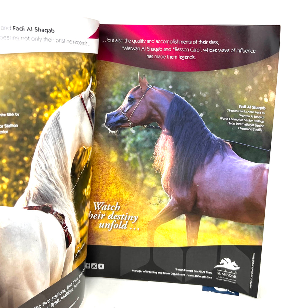 Arabian Horse World February 2017 Vol 57 No.5 Horse Magazine