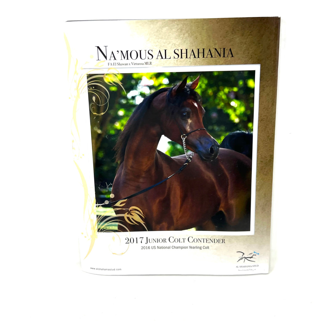 Arabian Horse World February 2017 Vol 57 No.5 Horse Magazine