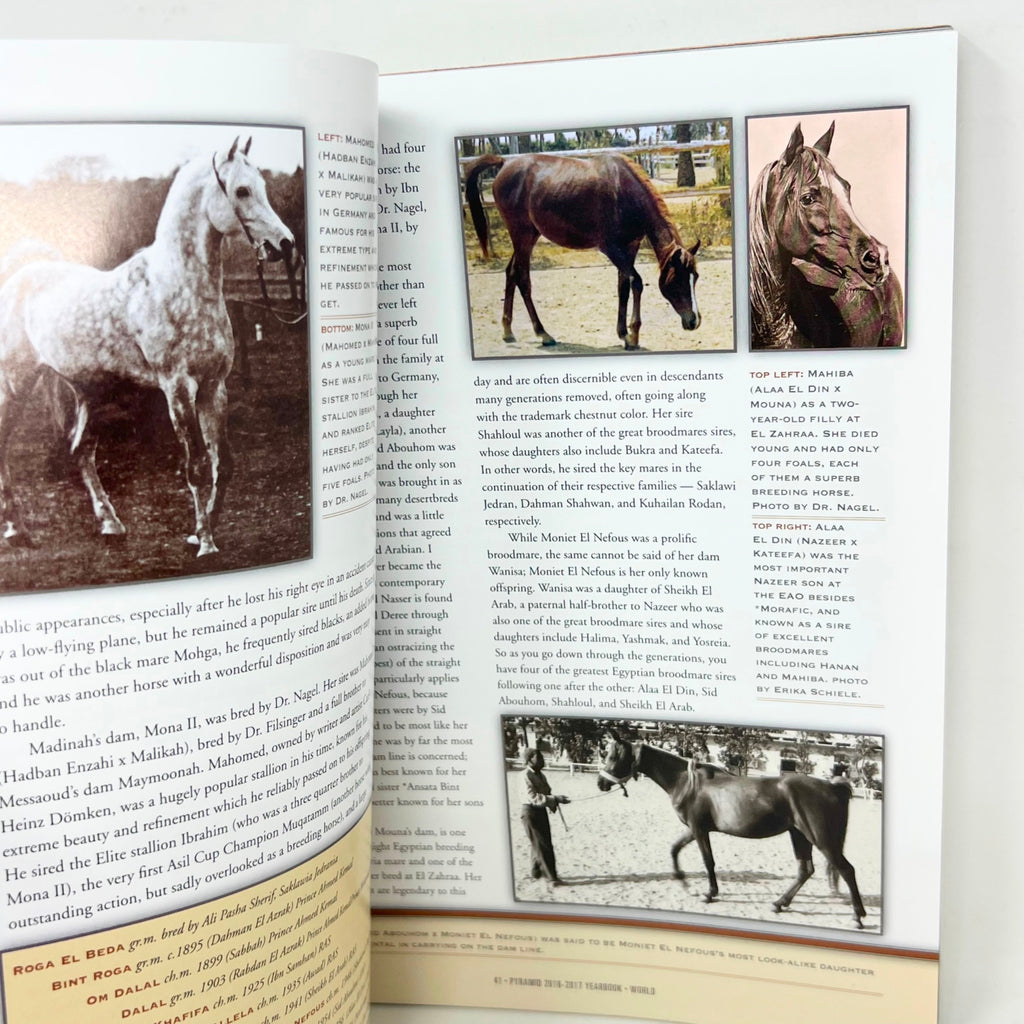 Arabian Horse World December 2016 Vol.57 No.3