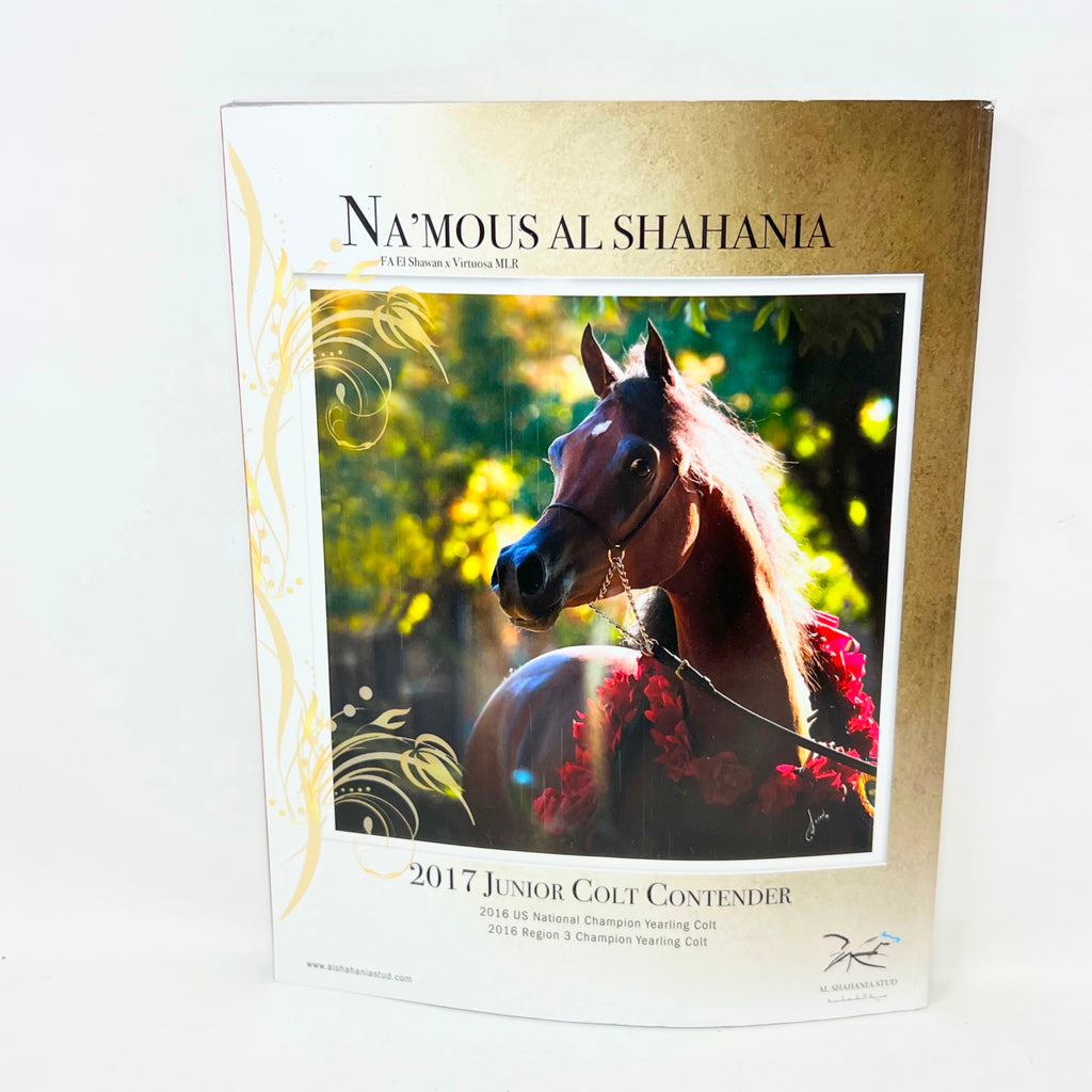 Arabian Horse World December 2016 Vol.57 No.3