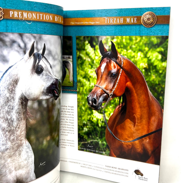 Arabian Horse World Vol. 55 No.3 December 2014 Horse Magazine
