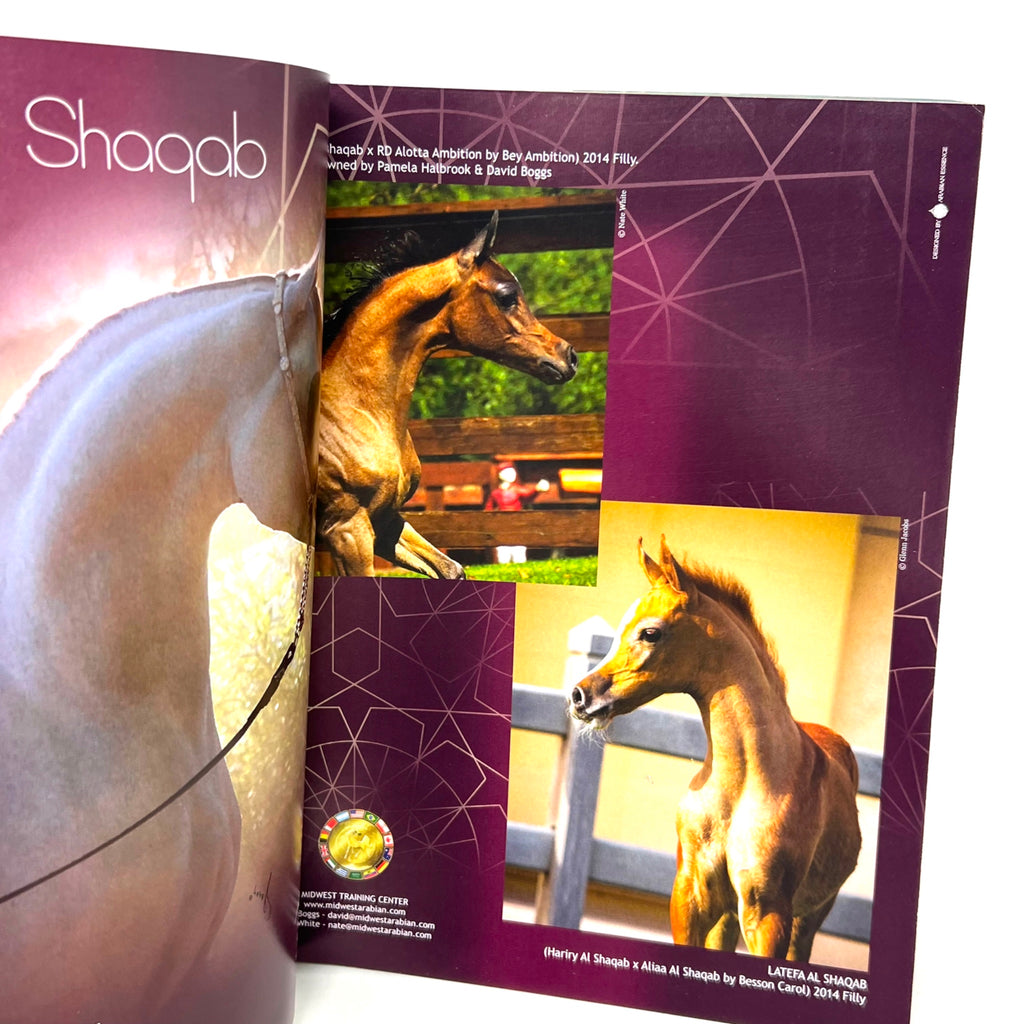 Arabian Horse World Vol. 55 No.3 December 2014 Horse Magazine