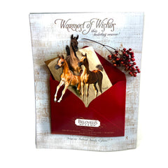 Arabian Horse World Vol. 55 No.3 December 2014 Horse Magazine