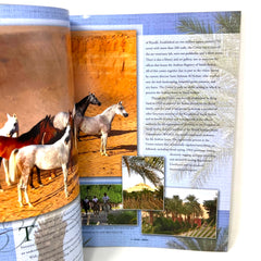 Arabian Horse World April 2013 Vol. 54 No. 7 Horse Magazine