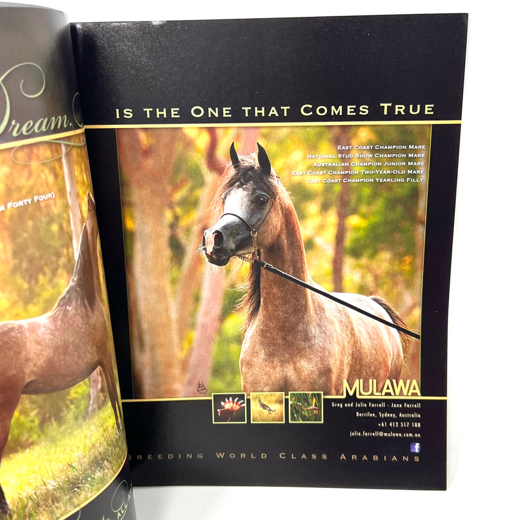 Arabian Horse World April 2013 Vol. 54 No. 7 Horse Magazine