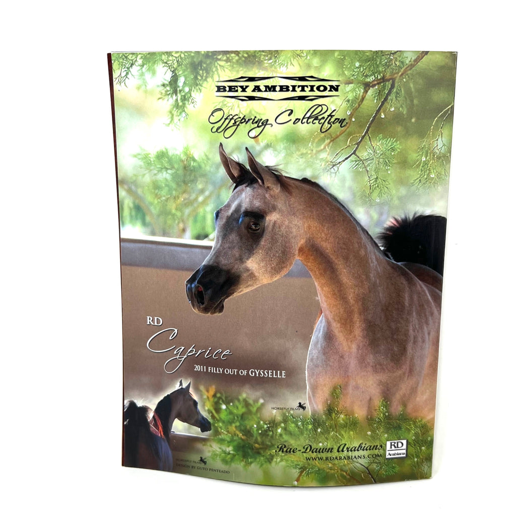 Arabian Horse World April 2013 Vol. 54 No. 7 Horse Magazine