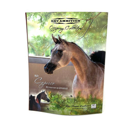 Arabian Horse World April 2013 Vol. 54 No. 7 Horse Magazine