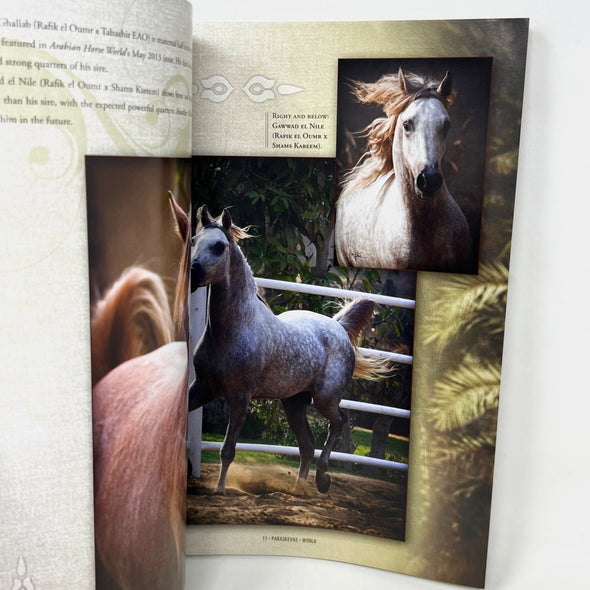 Arabian Horse World July 2013 No.53 No.10 Horse Magazine
