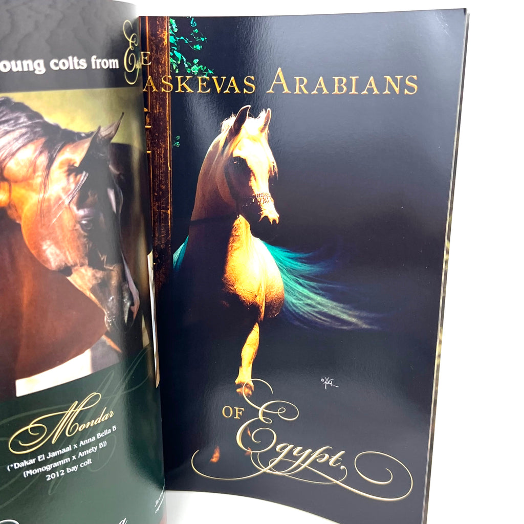 Arabian Horse World July 2013 No.53 No.10 Horse Magazine