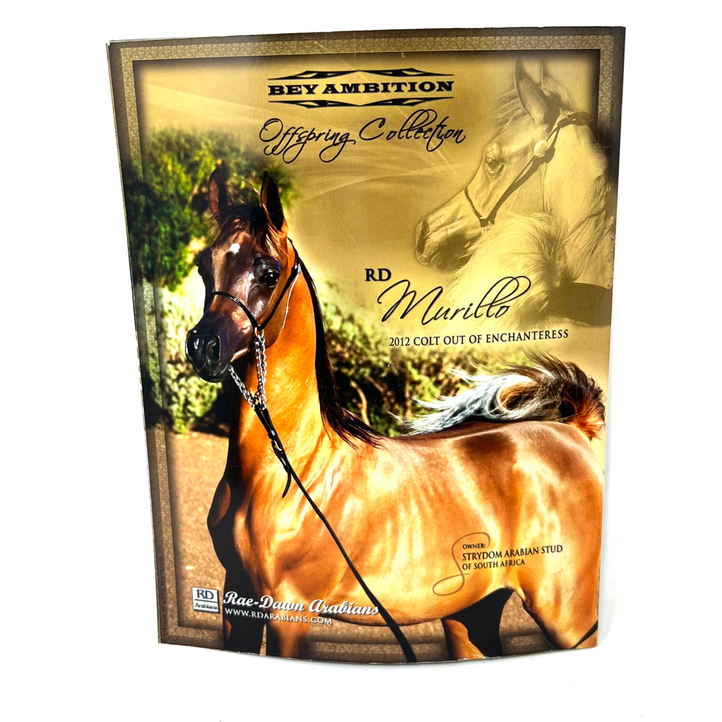 Arabian Horse World July 2013 No.53 No.10 Horse Magazine