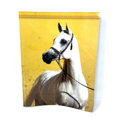 Arabian Horse World May 2011 Vol.51 No.8 Horse Magazine