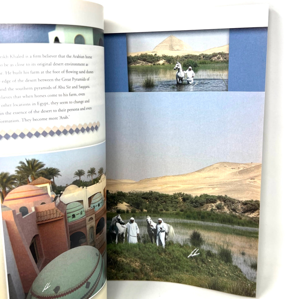 Arabian Horse World May 2011 Vol.51 No.8 Horse Magazine