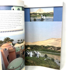 Arabian Horse World May 2011 Vol.51 No.8 Horse Magazine