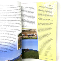 Arabian Horse World September 2013 No.53 No.12 Horse Magazine