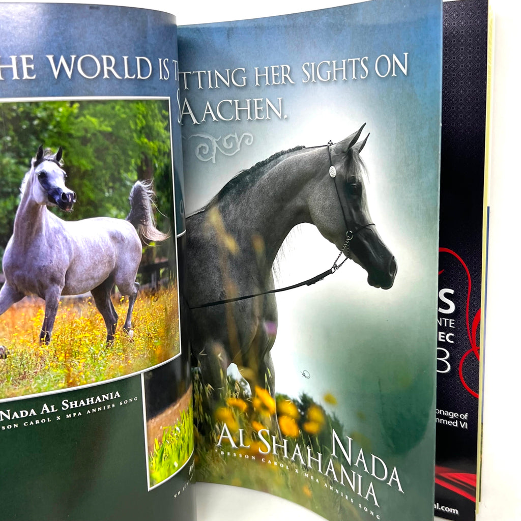 Arabian Horse World September 2013 No.53 No.12 Horse Magazine