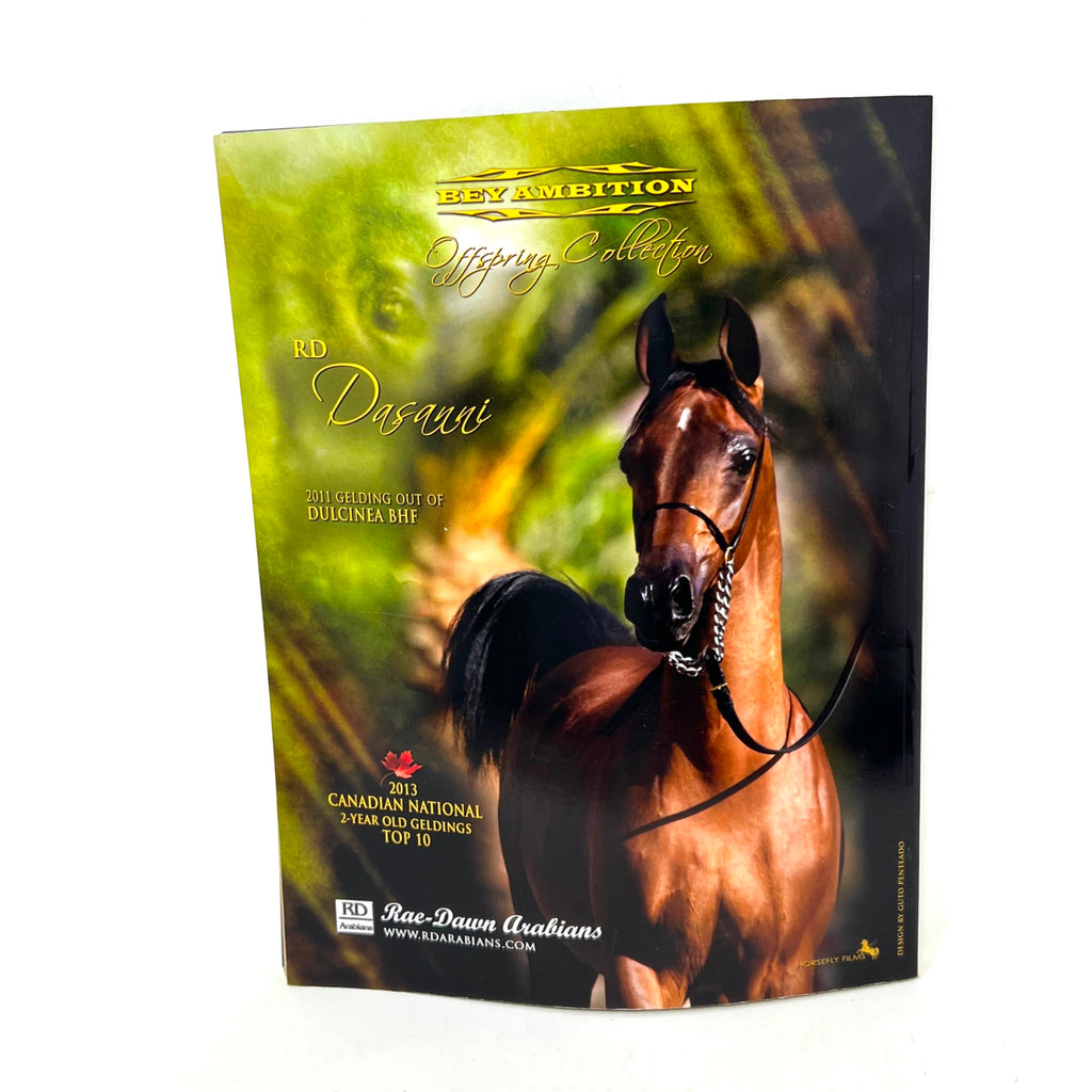 Arabian Horse World September 2013 No.53 No.12 Horse Magazine
