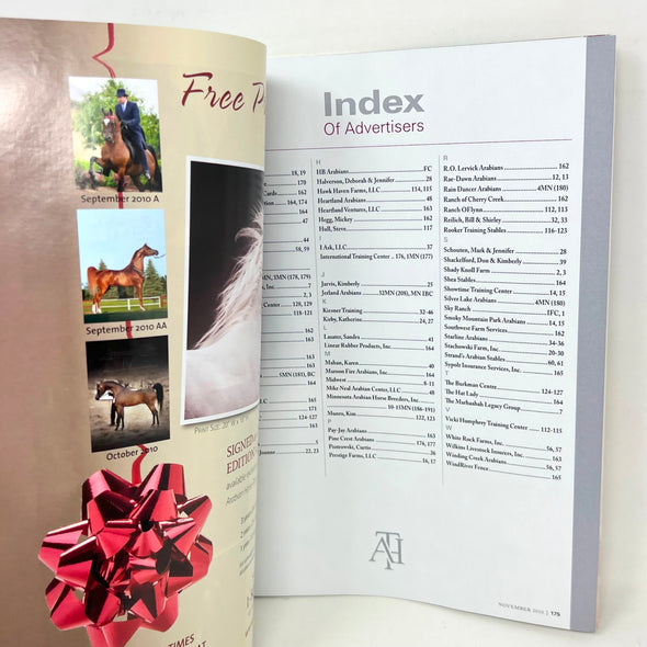 Arabian Horse Times November 2010  Horse Magazine