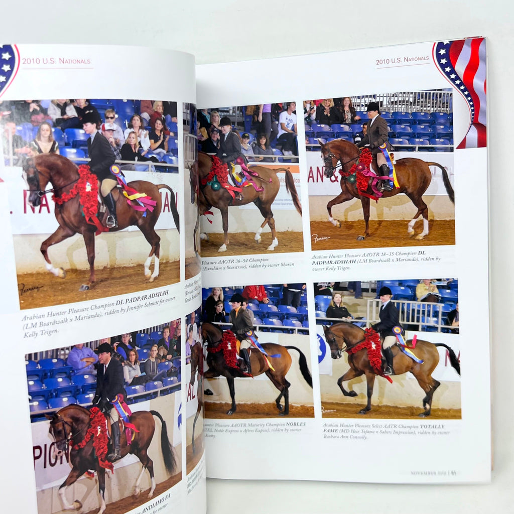 Arabian Horse Times November 2010  Horse Magazine