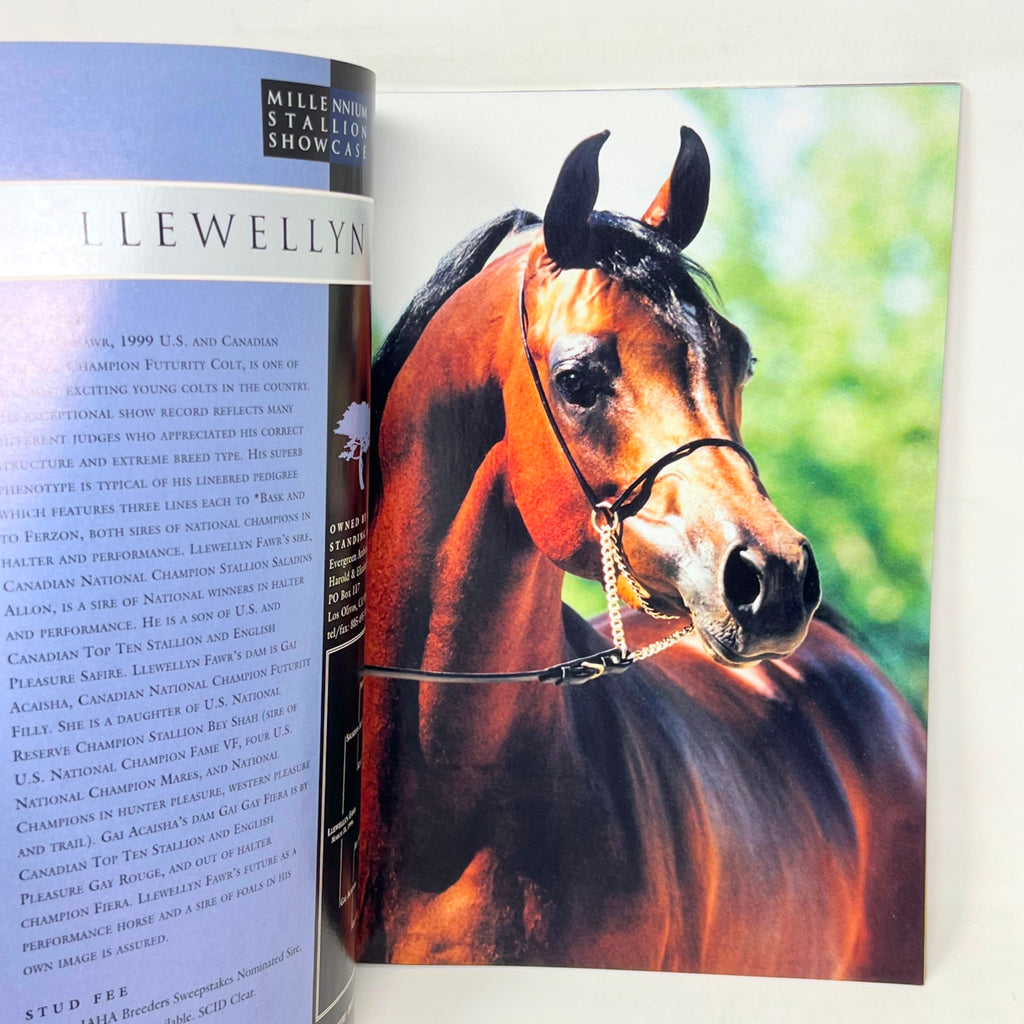 Arabian Horse World The Millenium Stallion Guide Winter 2000