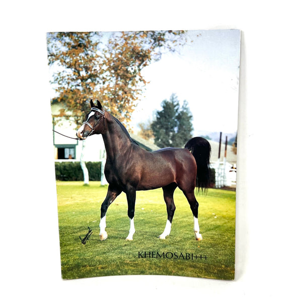 Khemosabi +++ Arabian Horse magazine