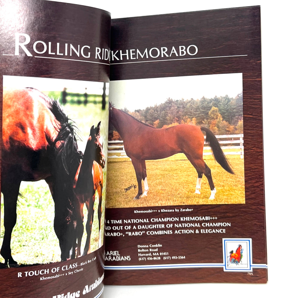 Khemosabi +++ Arabian Horse magazine