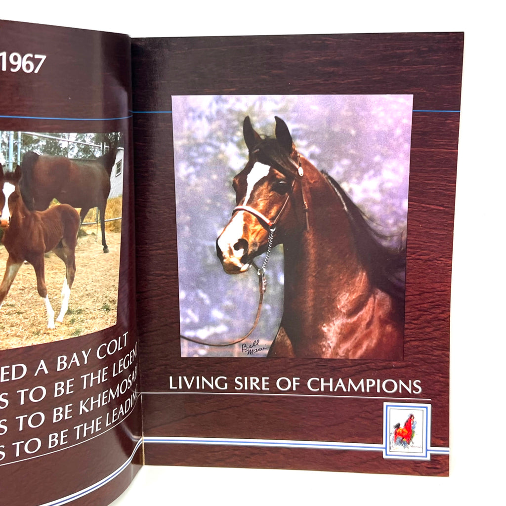 Khemosabi +++ Arabian Horse magazine