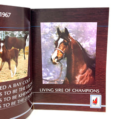 Khemosabi +++ Arabian Horse magazine