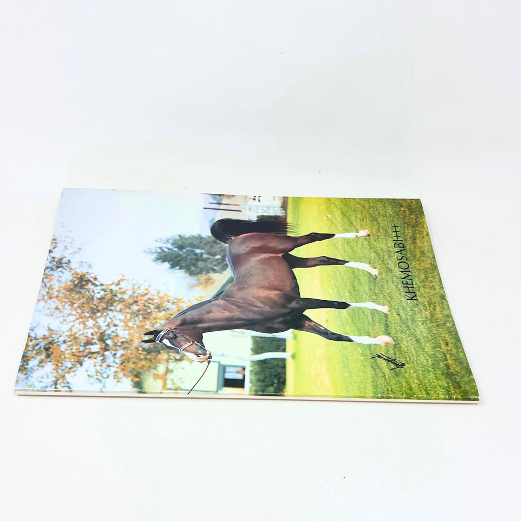 Khemosabi +++ Arabian Horse magazine