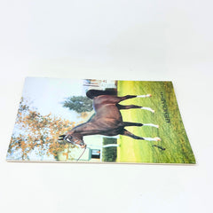 Khemosabi +++ Arabian Horse magazine