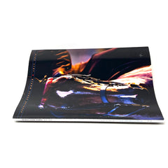 Arabian Horse World July 2010 Vol. 50 No.10 Horse Magazine