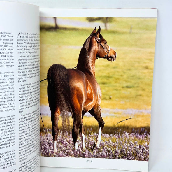 Khemosabi +++ Arabian Horse magazine Syndicate Booklet