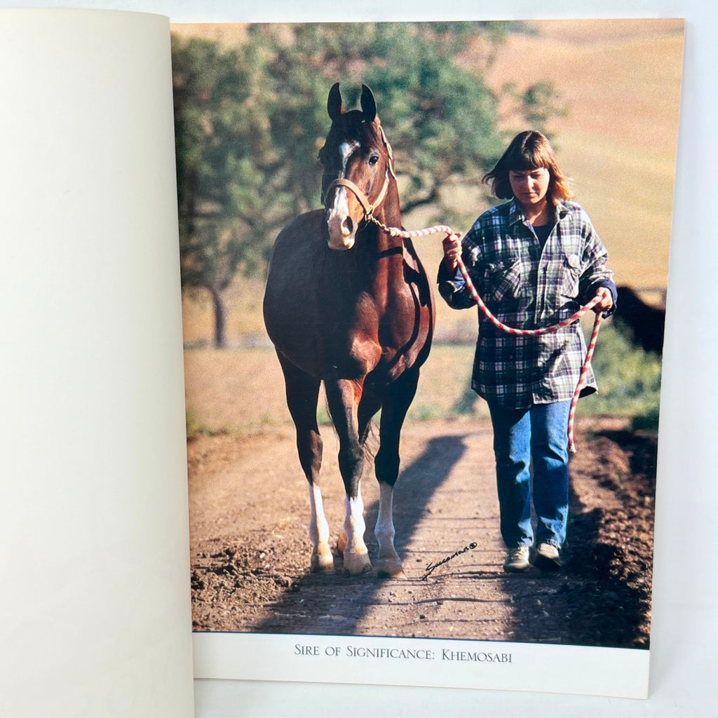 Khemosabi +++ Arabian Horse magazine Syndicate Booklet