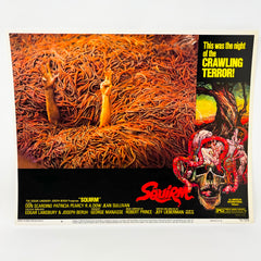 1974 Crawling Terror Squirm Collectible movie Lobby Cards set of 7