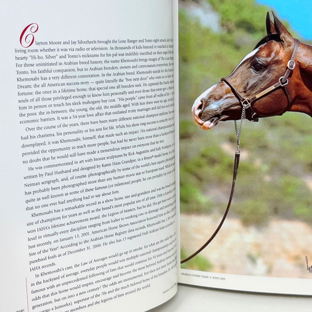 The Arabian Horse Times Now and forever Arabian horse Khemosabi  878/1195