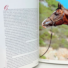 The Arabian Horse Times Now and forever Arabian horse Khemosabi  878/1195