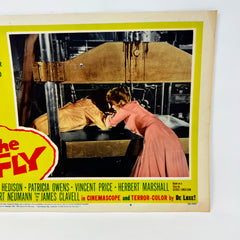 The Fly Horror Terror Collectible movie Lobby Card No.6