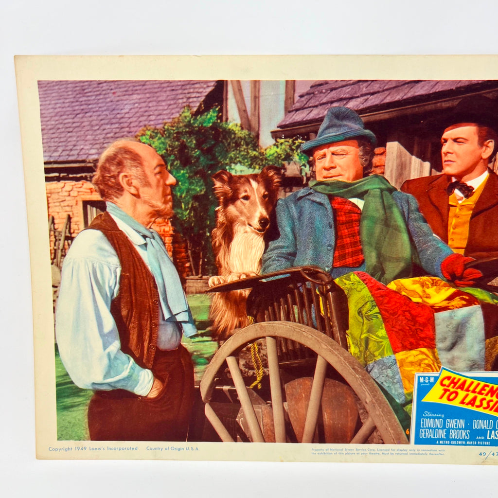 1949 Challenge to Lassie Lobby Card Movie Poster (a)